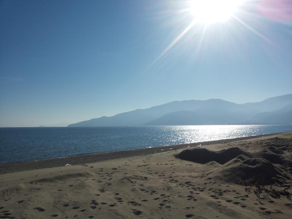 Villa Camellia Vrasna Bagian luar foto